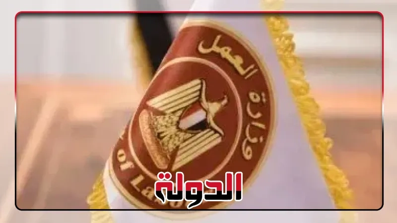 5242 فرصة عمل في 50 شركة خاصة تنتظر شباب 8 محافظات