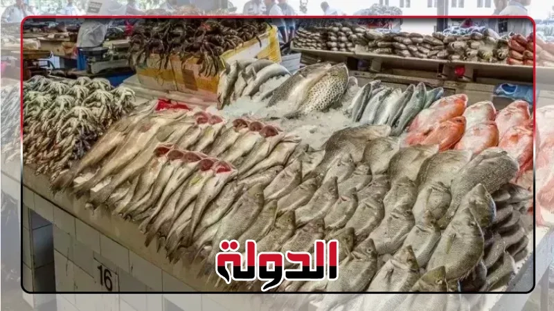 تفاصيل أسعار الأسماك في الأسواق