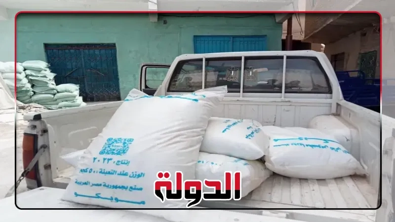 محافظ أسيوط: ضبط كميات من القمح الفاسد واللحوم غير الصالحة خلال حملات