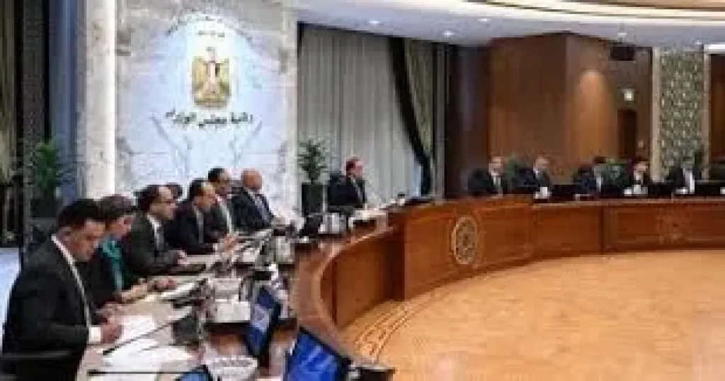 رئيس الوزراء يجتمع مع رئيس 'جيتور' العالمية لتوطين طرازات السيارات فى مصر