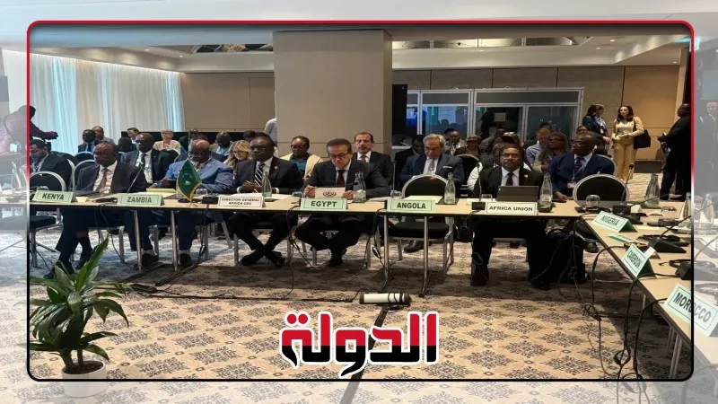 مصر تؤكد التزامها بتعزيز التصنيع المحلي للمنتجات الصحية في أفريقيا