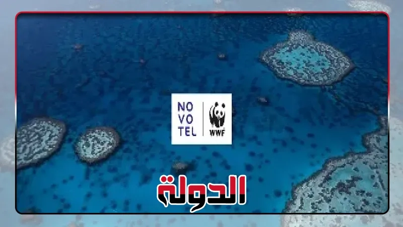 نوفوتيل تحتفل بعامٍ من الالتزام بحماية المحيطات والشراكة المستدامة مع الصندوق العالمي للطبيعة
