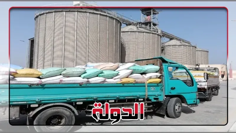 تموين الشرقية :توريد 577 الف طن قمح للمواقع التخزينية