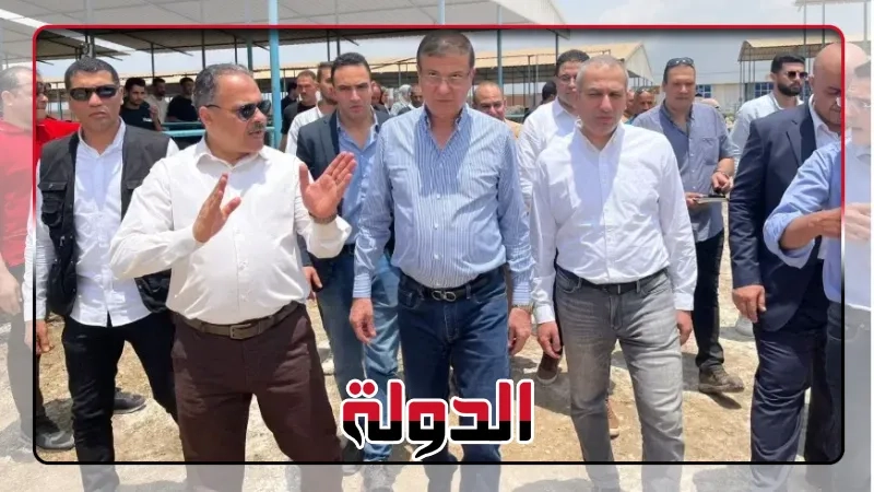 البنك الزراعي المصري يمول شراء 2000 رأس ماشية بقيمة 395 مليون جنيه لصالح 188 من صغار المربين بالشرقية ( صور )
