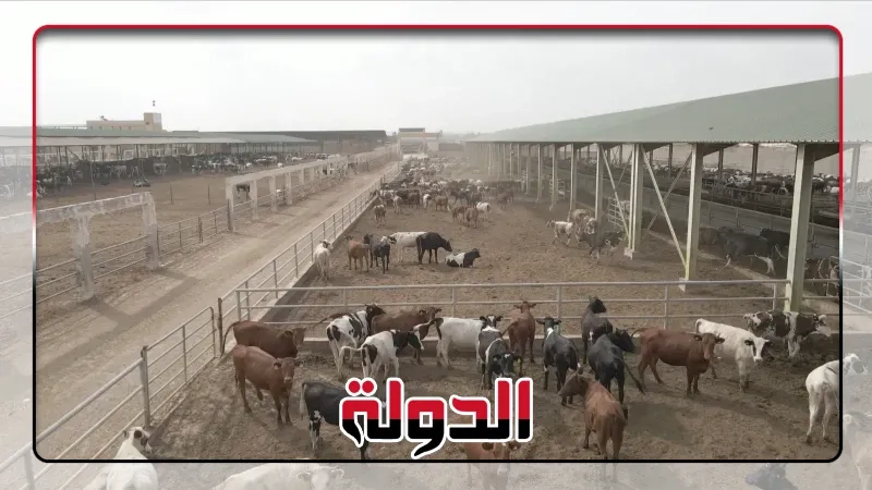 إطلاق برنامج بنك الطعام لتوفير لحوم الأضاحي للأسر الأكثر احتياجًا
