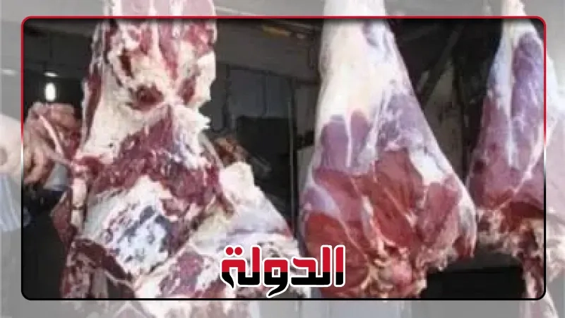 أسعار الأضاحي 2025 .. اعرف سعر كيلو العجول القايم والخراف
