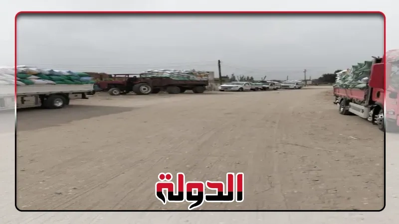 إستمرار تدفق الأقماح المحلية لشون وصوامع محافظة الشرقية