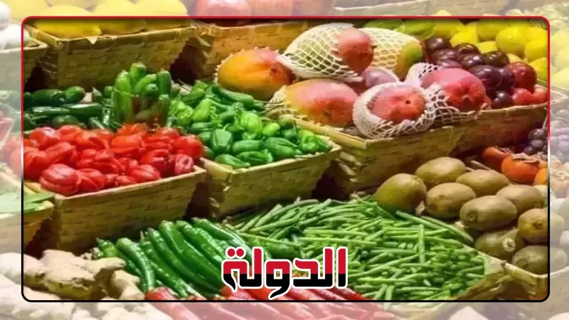 تابع أسعار الخضروات في الأسواق المصرية اليوم 22 يونيو