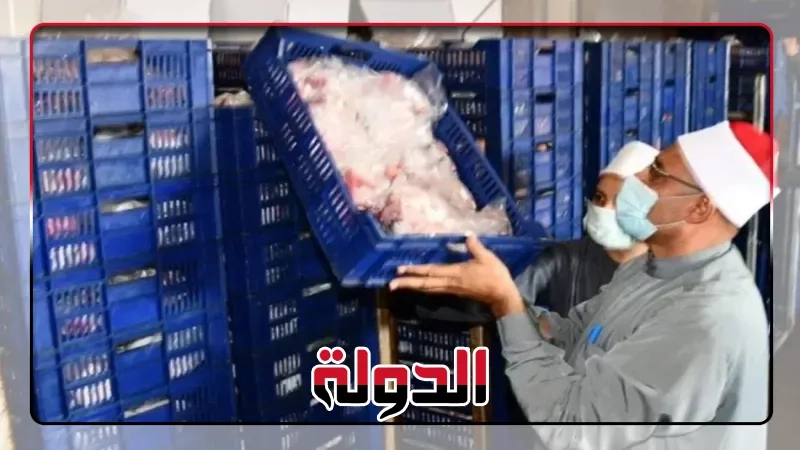 محافظ الشرقية يشهد تسلّم أُولى دفعات لحوم صكوك الأضاحي لهذا العام
