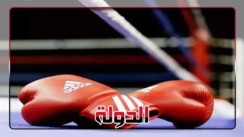 بني سويف تستضيف بطولة الجمهورية للملاكمة بمشاركة 285 لاعبًا من 18 محافظة