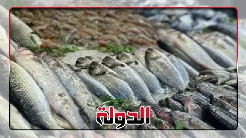ماذا عن أسعار الأسماك في سوق العبور اليوم السبت 21 يونيو؟