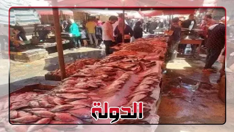 استقرار أسعار الأسماك اليوم بأسواق الإسكندرية.. والبوري بـ160 جنيها للكيلو