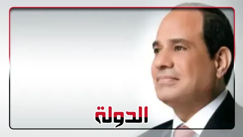 الرئيس السيسي يعلن النتائج الملموسة التي حققتها النيباد خلال الفترة الماضية