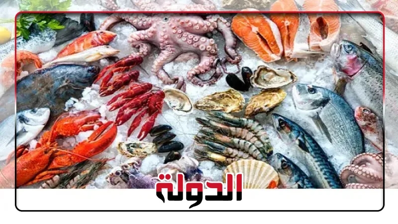 البلطي بـ80 جنيها..أسعار السمك والجمبري في سوق العبور اليوم الأربعاء