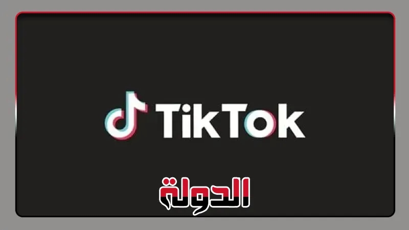 بلاغ جديد يكشف شبكات دعم مشبوهة خلف مشاهير تيك توك في مصر