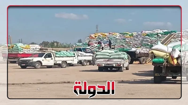 صوامع وشون الشرقيةتستقبل 603855 طن من الأقماح المحلية