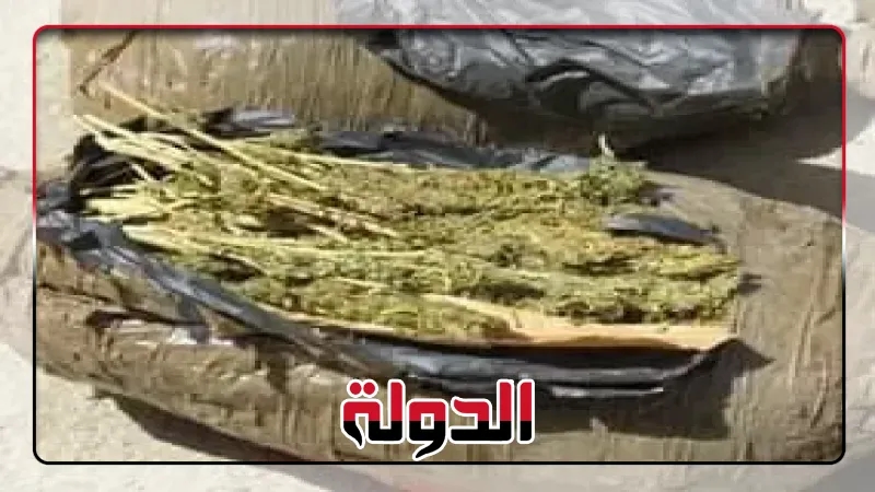 بانجو وهيدرو.. الداخلية تحبط صفقات مخدرات في دمياط