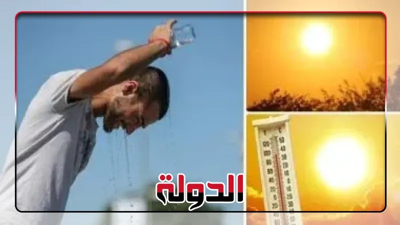 حالة الطقس المتوقعة اليوم الخميس 21 أغسطس 2025 فى مصر