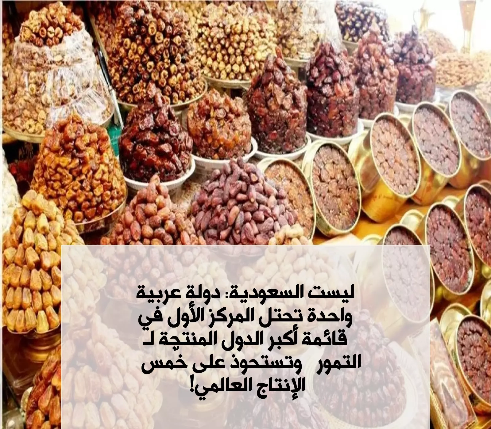 ليست السعودية: دولة عربية واحدة تحتل المركز الأول في قائمة أكبر الدول المنتجة لـ"التمور" وتستحوذ على خُمس الإنتاج العالمي !