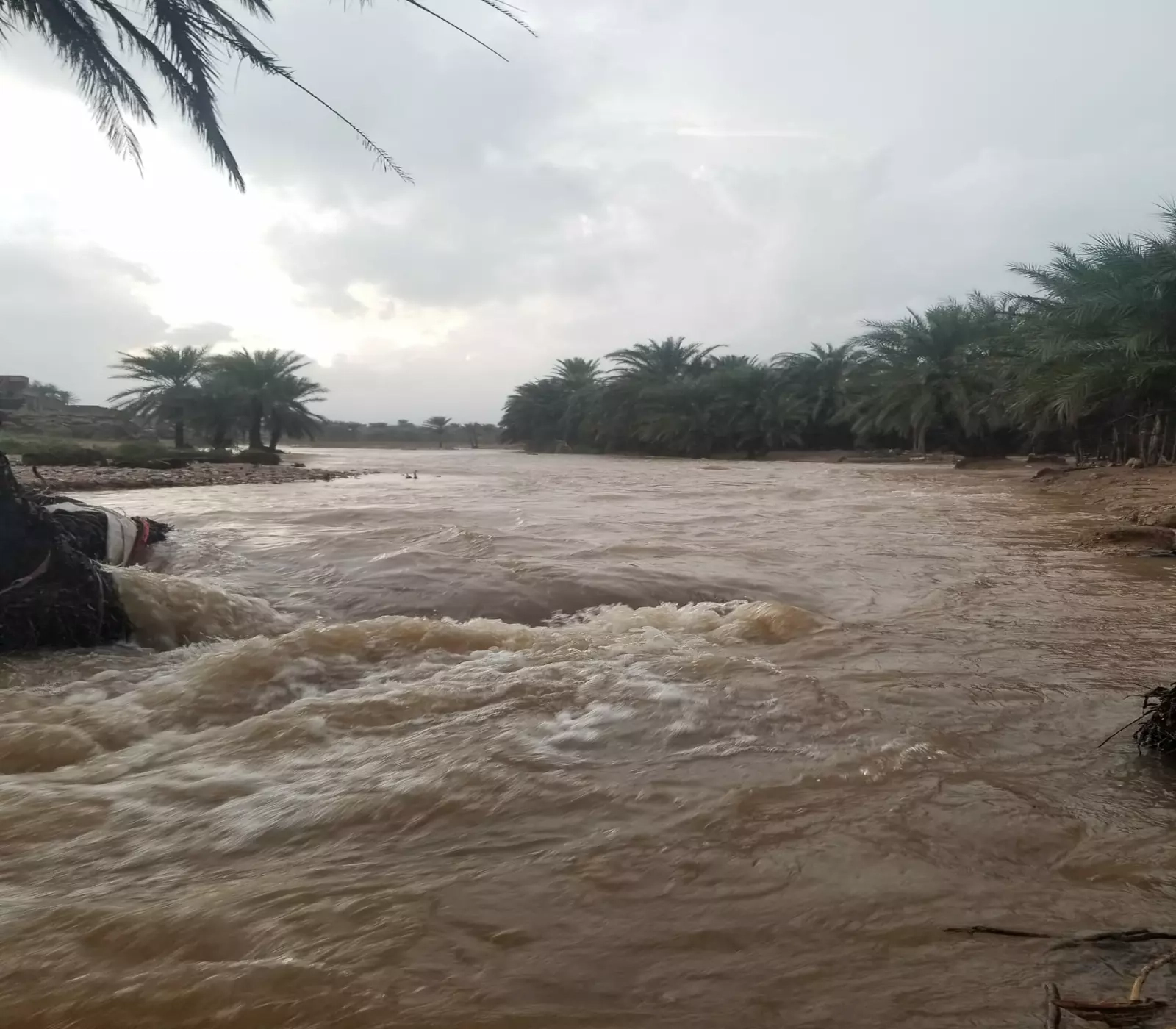 خبير فلكي وزراعي يمني يكشف متى سيبدأ هطول الأمطار والسيول الموسمية الصيفية الأكثر غزارة في اليمن 2025م وكم ستستمر ؟