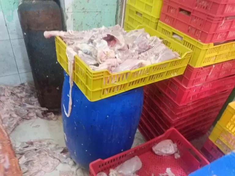 ضبط 2 طن دواجن ولحوم غير صالحة للاستهلاك الآدمى وتحرير 333 مخالفة تموينية بالقليوبية