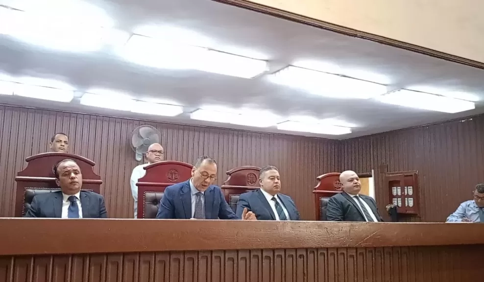 'رفض اعطائه الفلوس'..إحالة أوراق عامل للمفتى لقتله طفل الخصوص