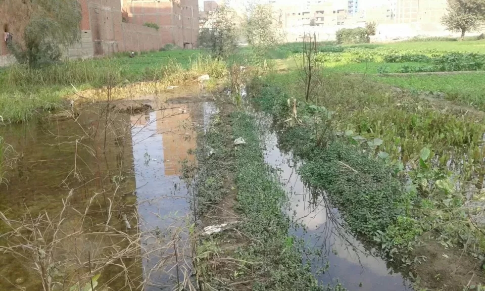 من المسؤول عن غرق آلاف الأفدنة؟ وهل للسد الإثيوبي يد في الأمر؟.. 'خبير مائي' يعلق