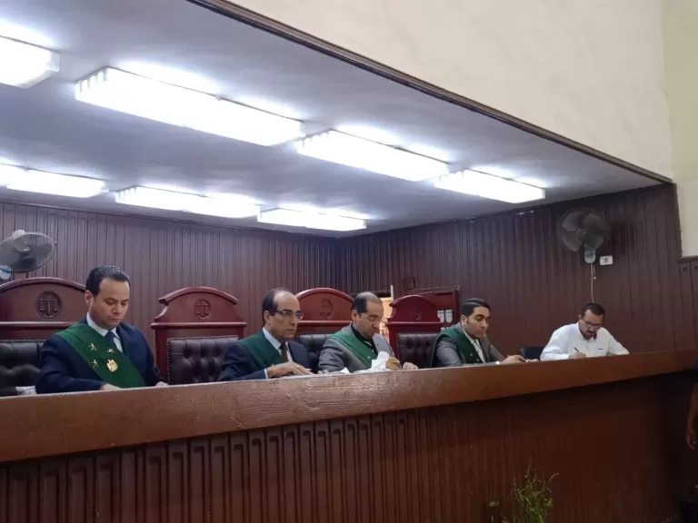 المشدد 7 سنوات لسائقين لاتجارهما في المواد المخدرة وحيازة سلاح نارى بالقليوبية