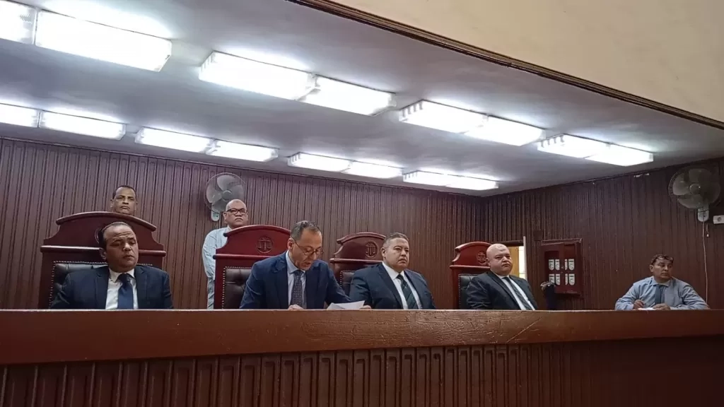 عقوبة رادعة.. السجن المشدد 3 سنوات لمالك حانوت بقالة لقتله شقيقه بقليوب