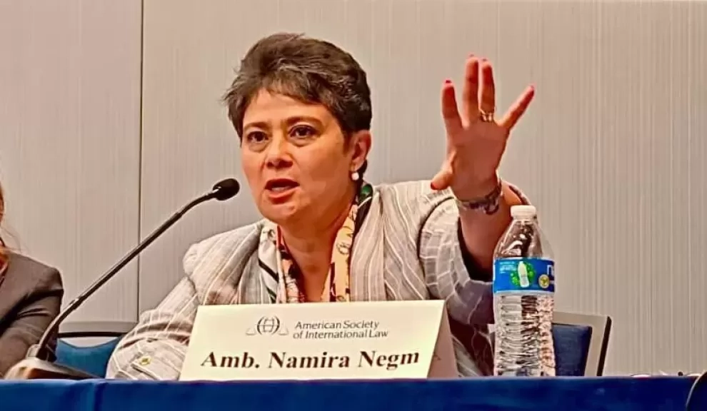 'نميرة نجم' تُحذِّر في واشنطن: اختيار أمريكا للقوة فقط بديلا عن القانون كارثة عليها و على العالم