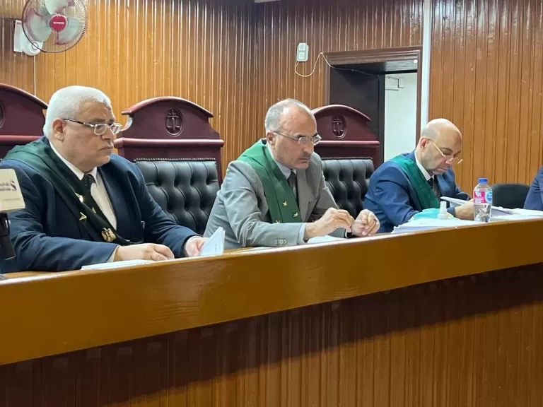 'المؤبد' لأخطر عصابة تخصصوا بجلب وتصدير المواد المخدرة بكرداسة.. التفاصيل