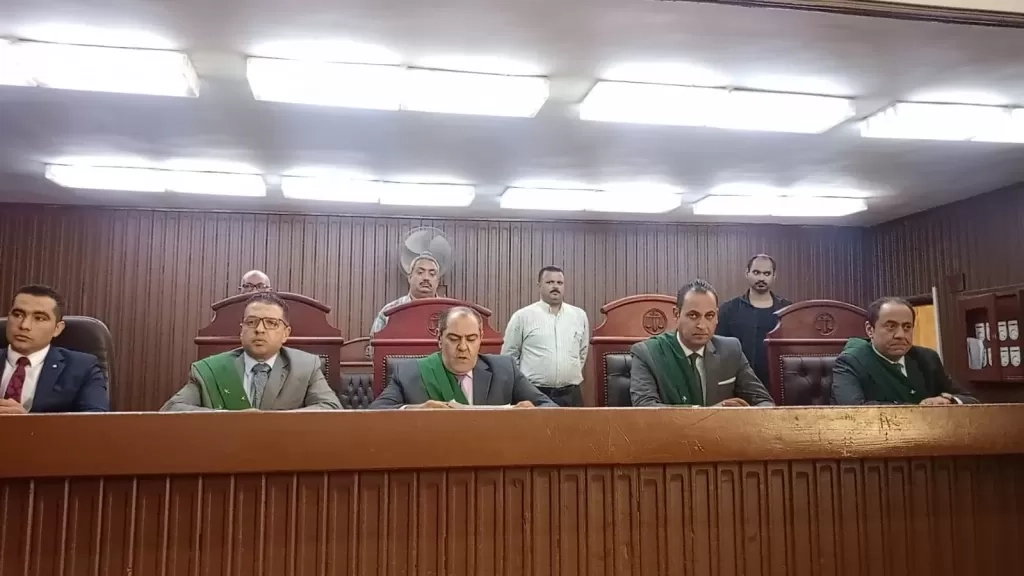 عقوبة رادعه.. السجن المشدد 5 سنوات لشقيقين لإصابتهم شخص وحيازتهم سلاح نارى بالقليوبية