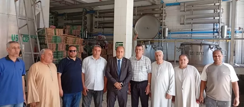 105 جنيهًا للكيلو بعد تدخل الوزير.. بدء توريد الياسمين لمصانع شبرابلولة بالغربية
