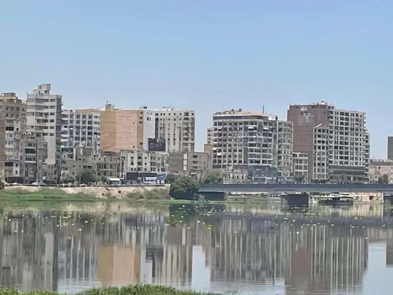 غطاء نباتي كثيف يغزو نهر سوهاج.. وأهالي المدينة يطالبون بتدخل عاجل