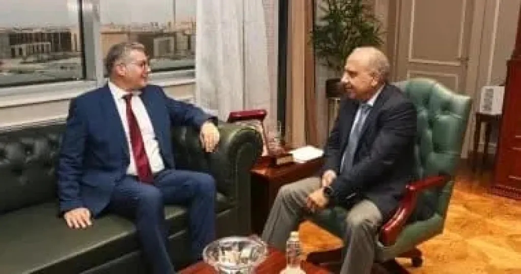 توطين صناعة الألواح الشمسية وإنتاج السليكون .. تفاصيل اجتماع وزير الكهرباء بالبترول