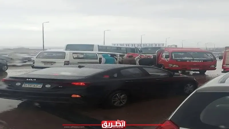 مصرع وإصابة 14 شخصًا في حادث تصادم سيارتين غرب الإسكندرية