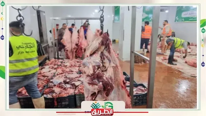 مؤسسة الجارحي عضو التحالف الوطني تستخدم 72 طن لحوم طازجة ضمن مبادرة 'مطابخ الخير' لدعم الأسر خلال رمضان