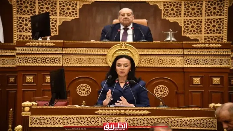 وزيرة التضامن أمام 'الشيوخ': مضاعفة مخصصات الحماية الاجتماعية إلى 635 مليار جنيه