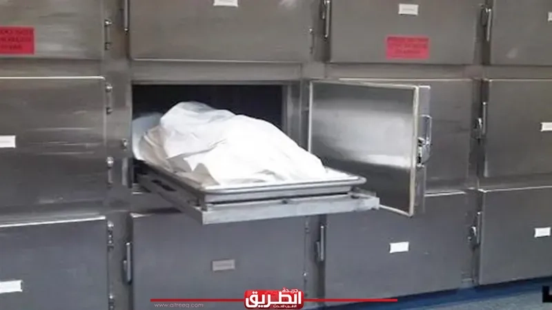 مصرع كهربائي في حادث تصادم بالشرقية