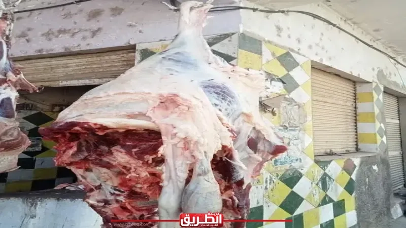 بيطرى الأقصر.. ضبط ١٨٥ كيلو جرام لحوم مذبوحة خارج المجازر الحكومية بإسنا