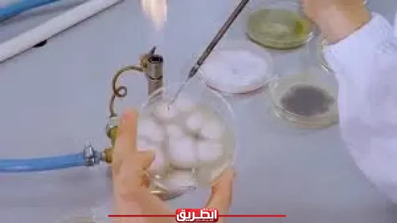 مختبرات الموت.. أسرار الفطريات والأسلحة البيولوجية