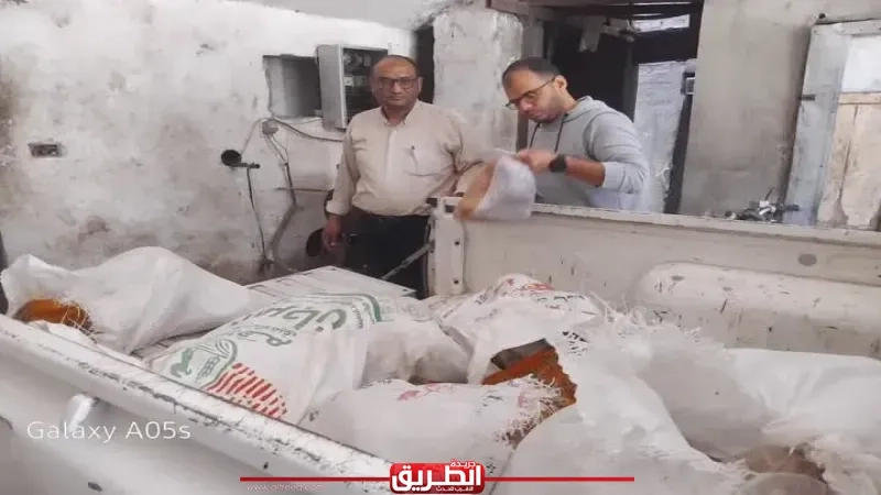 محافظ كفر الشيخ: ضبط 300 كجم من اللحوم غير الصالحة للاستهلاك الآدمي بدسوق