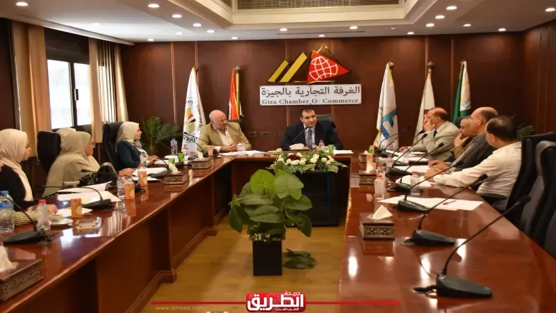 غرفة الجيزة: توصيات لحماية حقوق الصيادلة في اللائحة التنفيذية لقانون المسئولية الطبية
