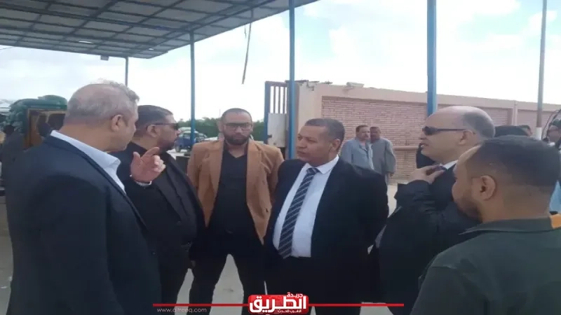 توريد 47 الف طن قمح محلى فى بنى سويف.. تفاصيل
