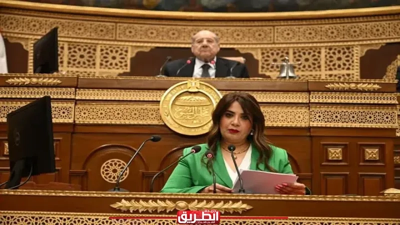 مجلس الشيوخ يناقش طلب نائبة التنسيقية راجية الفقي حول جهود وزارة الاتصالات