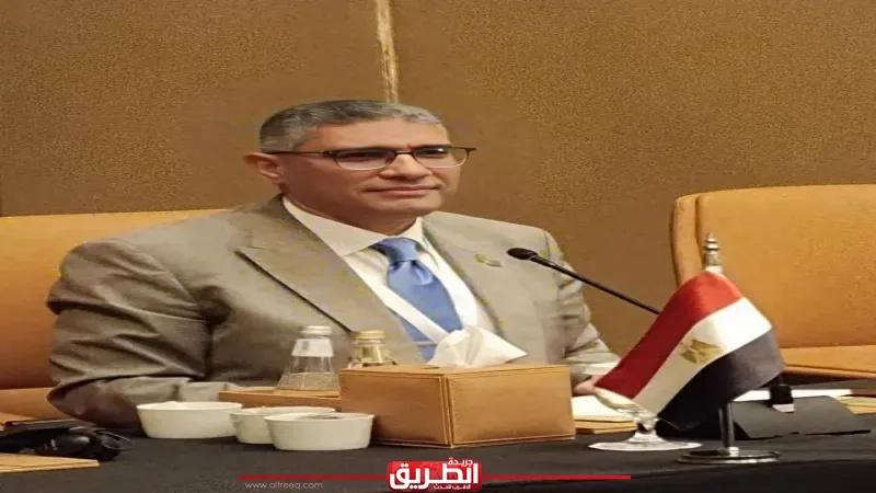 ضبط 2495 قضية بإجمالي 146 طن مضبوطات خلال حملات تموينية بالجيزة