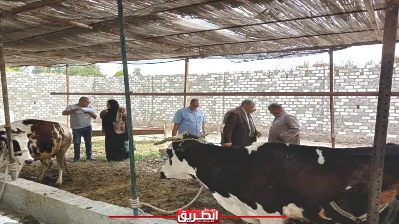 وكيل زراعة البحيرة يتفقد مزارع الثروة الحيوانية لصغار المربين بحوش عيسى