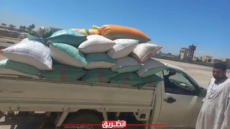توريد 221 ألف طن قمح لشون وصوامع البحيرة