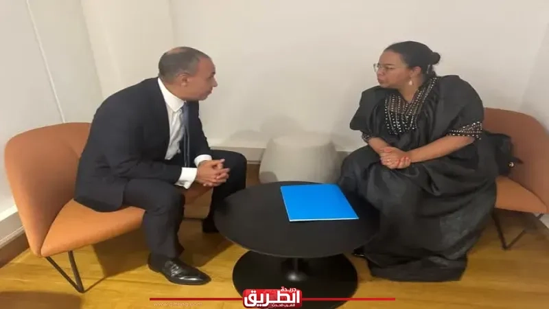 وزير الخارجية والهجرة يلتقي نظيره بجمهورية الكونجو الديمقراطية