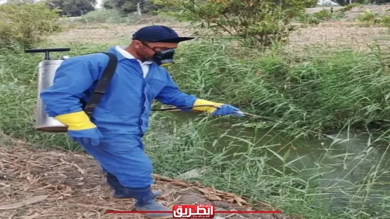 حملات موسعة لمكافحة ناقلات الأمراض ودورات تدريبية لرفع كفاءة الطواقم الطبية بالبحيرة
